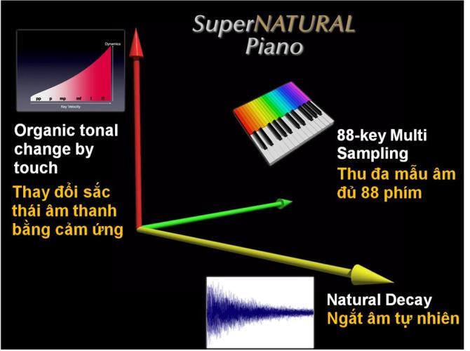 công nghệ âm thanh SuperNATURAL
