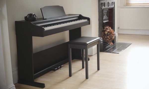 Roland RP-102