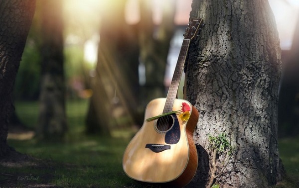 đàn guitar