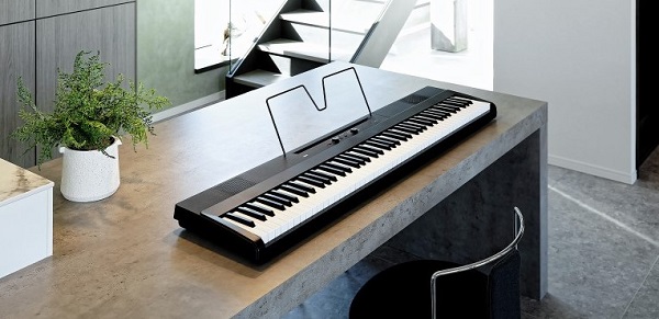 đàn organ và piano khác nhau như thế nào về cấu trúc