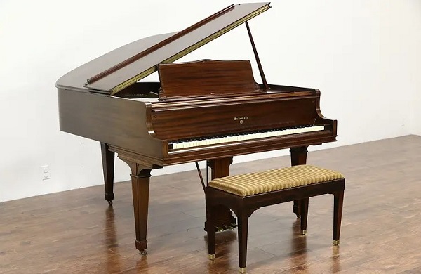 Knabe và âm nhạc quốc tế