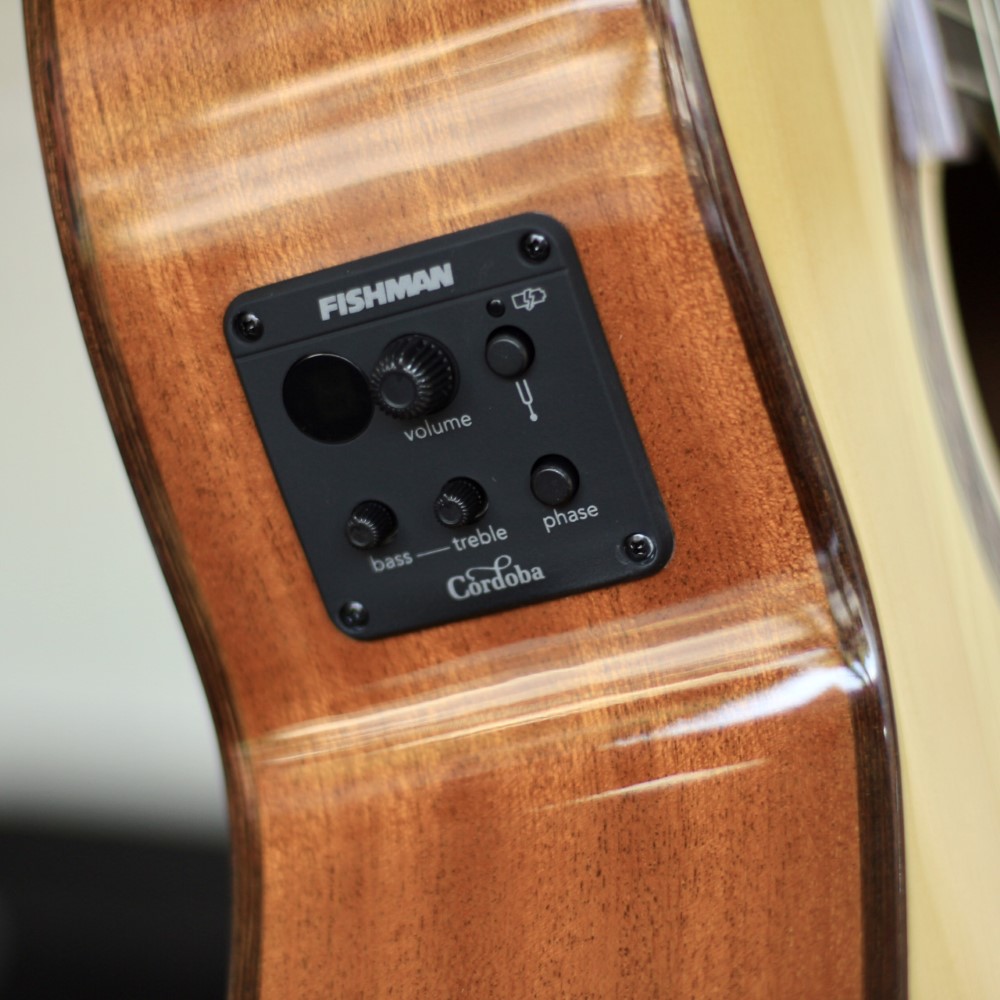 Guitar cordoba C5CESP