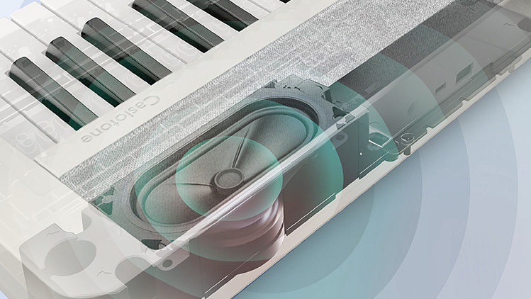 casitone ct-s1
