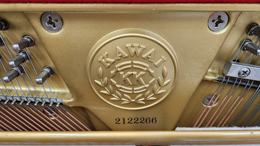 kawai ds65