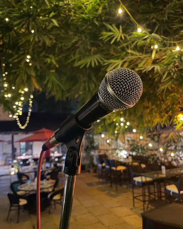 micro day shure sm58