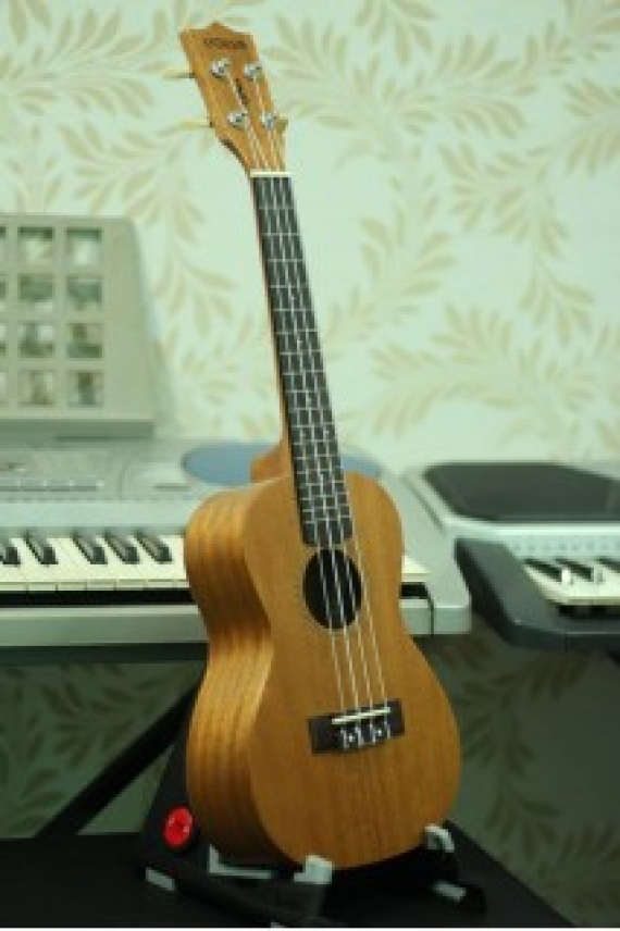 Concert là gì? Giá bao nhiêu? 