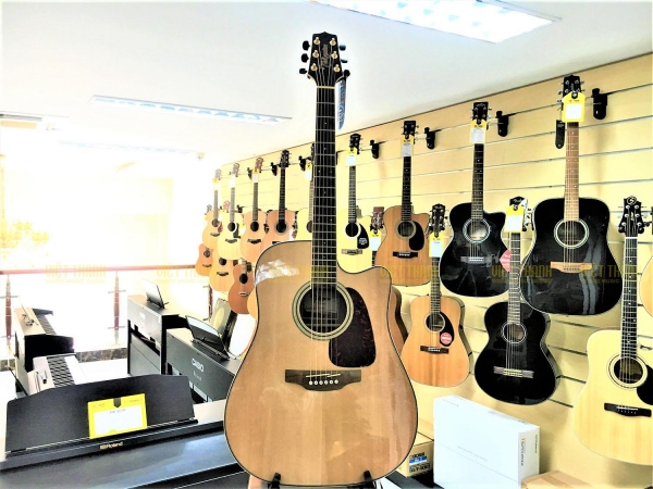 Takamine GD93CE NAT