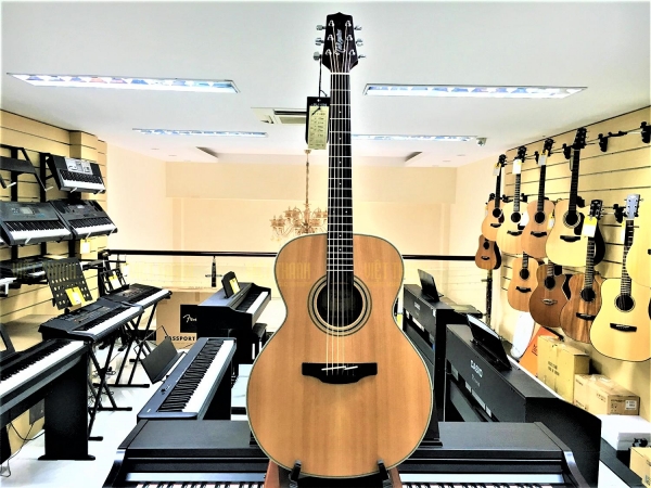 Takamine GN20 NS