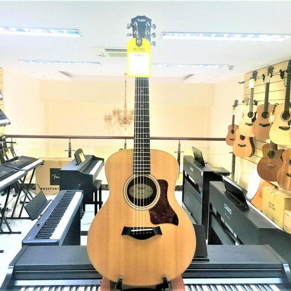 Taylor GS Mini