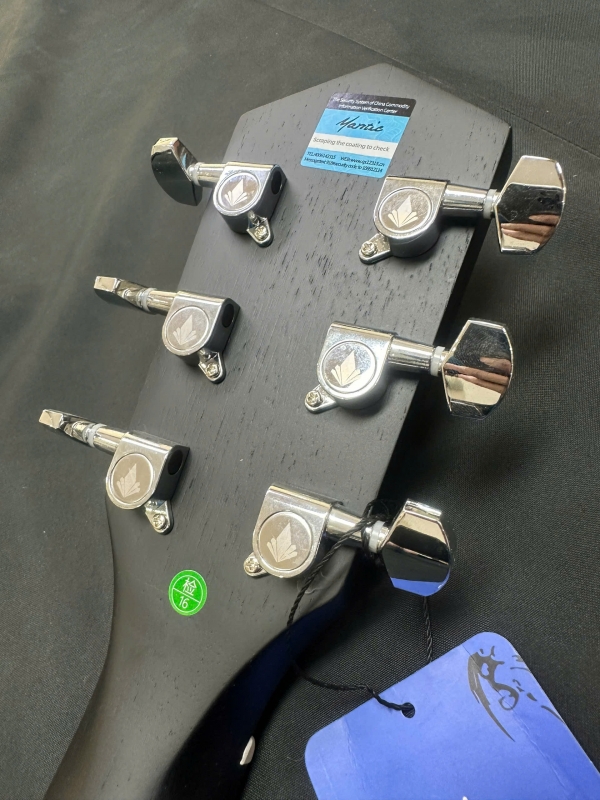 Đàn guitar Mantic GT10 DCE-BK