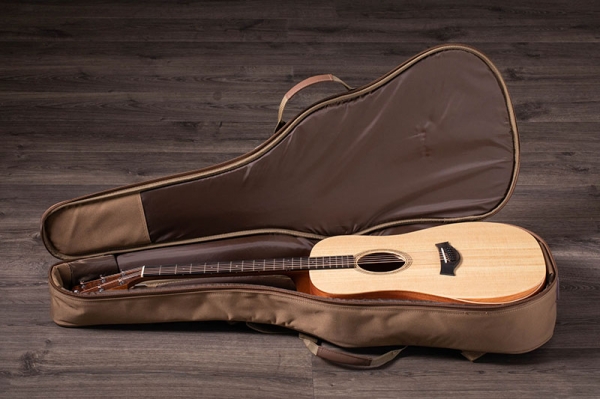 Đàn guitar Taylor Academy A10E