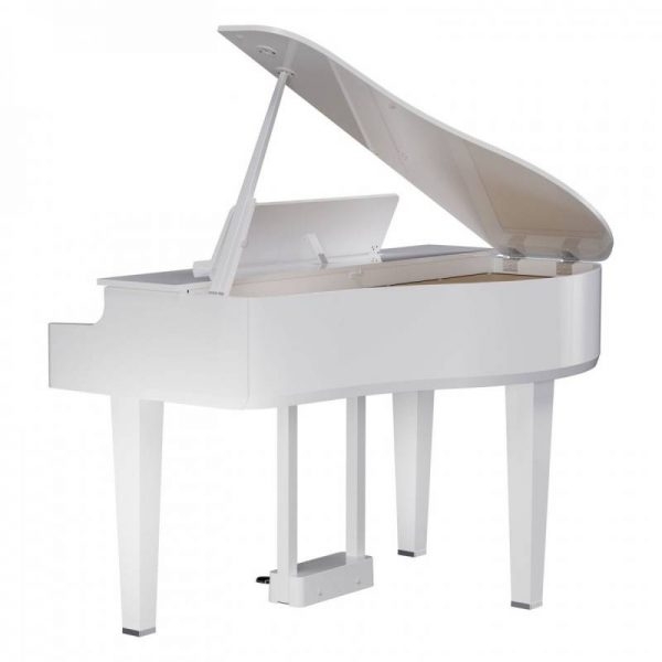 Đàn piano điện Roland GP-6PW