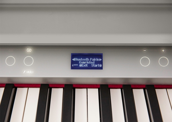 Đàn piano điện Roland GP-6PW