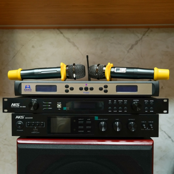 Microphone không dây cầm tay Lingrui LR-69B