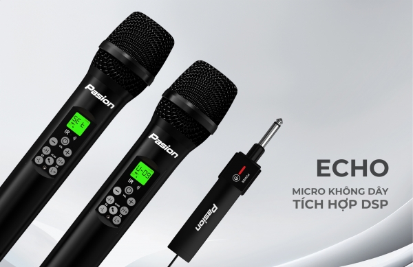 Microphone không dây PASION ECHO