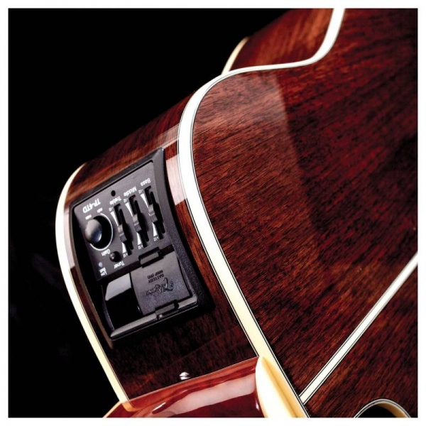 Takamine GD51CE 