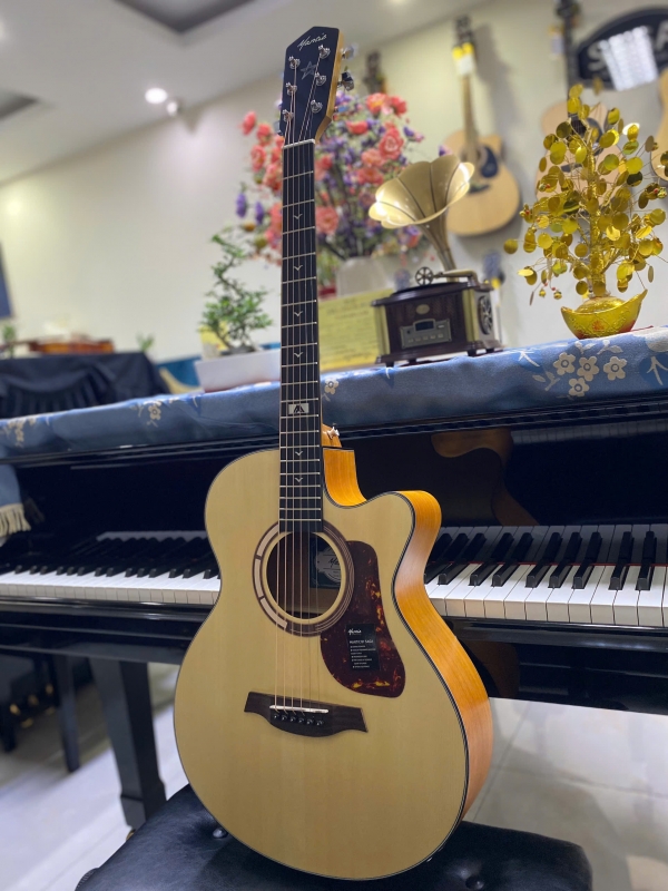 Đàn guitar Mantic GT1 ACE