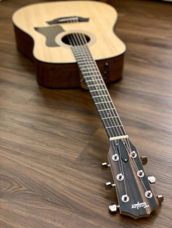 Guitar Taylor 110E