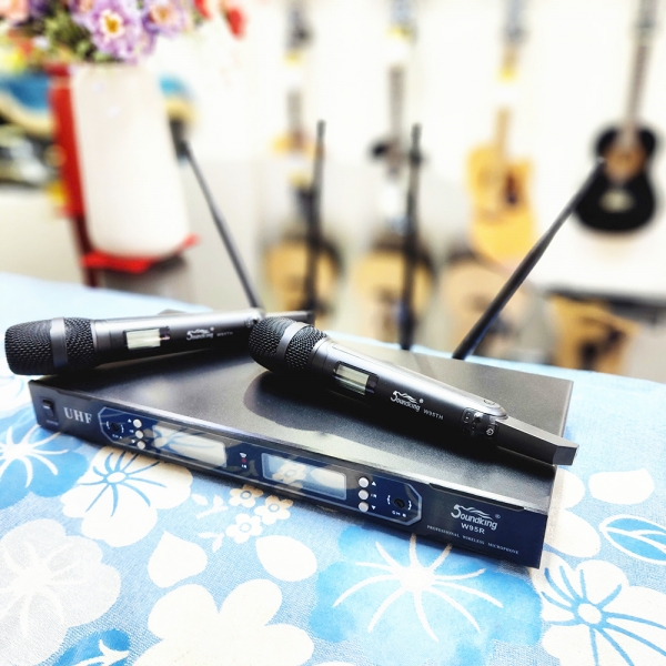 Micro không dây Soundking W95R-TH