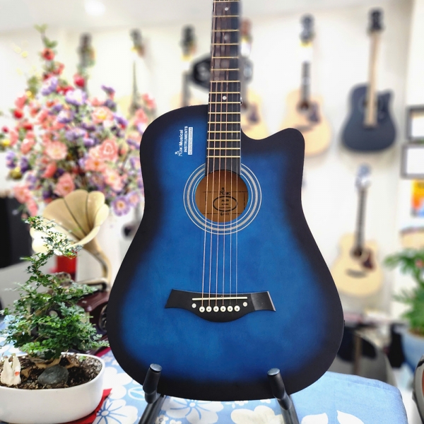 Đàn Guitar Acoustic AL Music AL-79