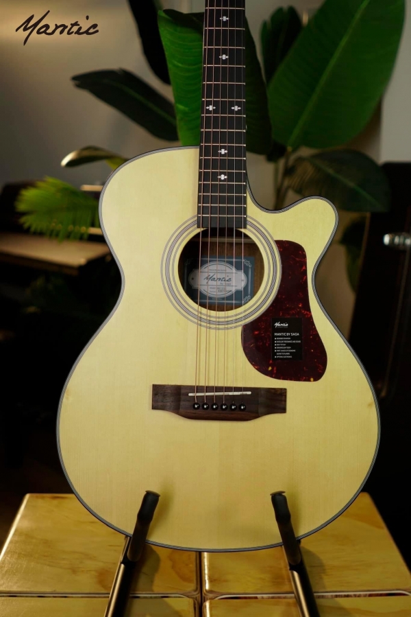Đàn guitar Mantic AG370C
