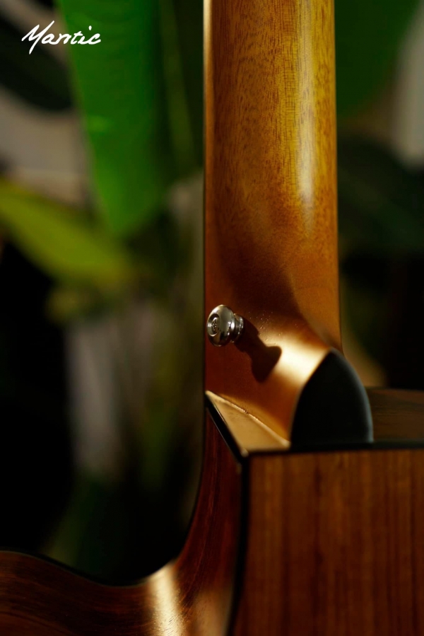 Đàn guitar Mantic AG370C