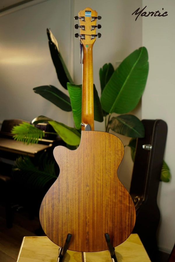 Đàn guitar Mantic AG370C