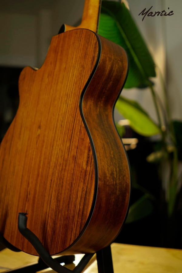 Đàn guitar Mantic AG370C