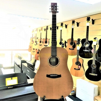  Tanglewood TWR2 D
