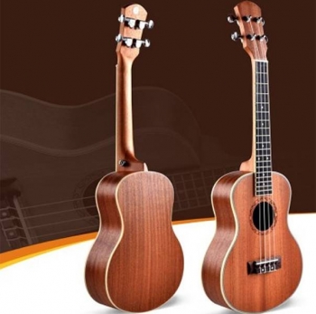  ĐÀN EVISER UK-21-30