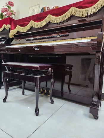  Đàn Piano Emerson