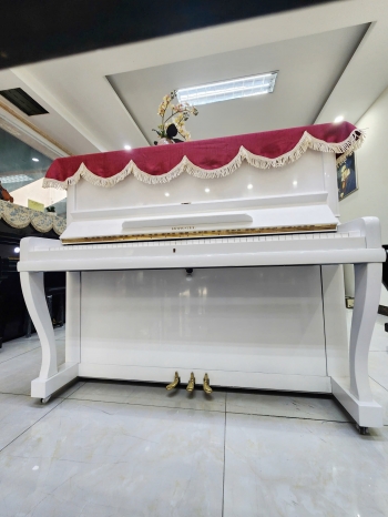  Đàn piano Horugel U6