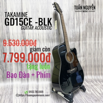  Takamine GD15CE BLK