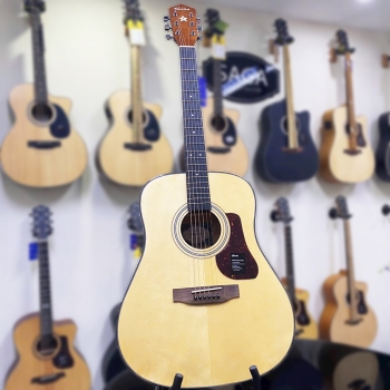 Guitar Mantic GT310 Pro