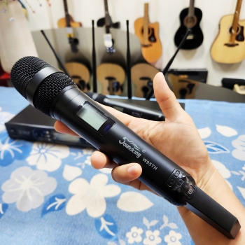  Micro không dây Soundking W95R-TH