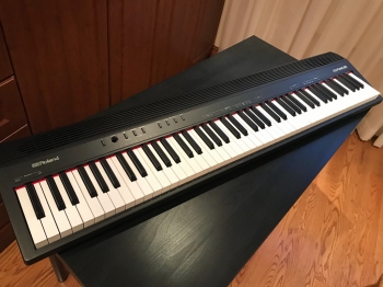 Roland Go-88P