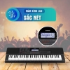 Casio CT-X700