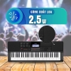 Casio CT-X700