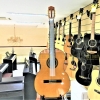 Cordoba C1
