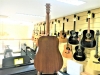 Tanglewood TWR2 D