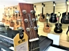 Tanglewood TWR2 D