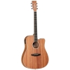 Tanglewood TWU DCE