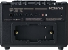 Roland AC-33