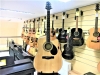 Samick GD-101SCE