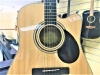 Samick GD-101SCE