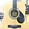 Samick GD101S NAT
