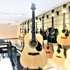Samick GD101S NAT