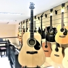 Samick GD101S NAT