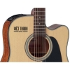 Takamine GD15CE NAT