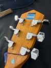 Đàn guitar Mantic GT1ACBS